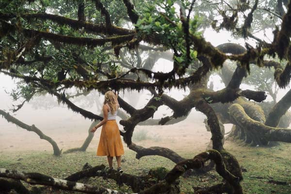 Madeira Tündérerdeje